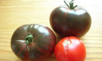 Israeli scientists have developed a gothic twist on the classic tomato: Red on the inside, black on the outside.
