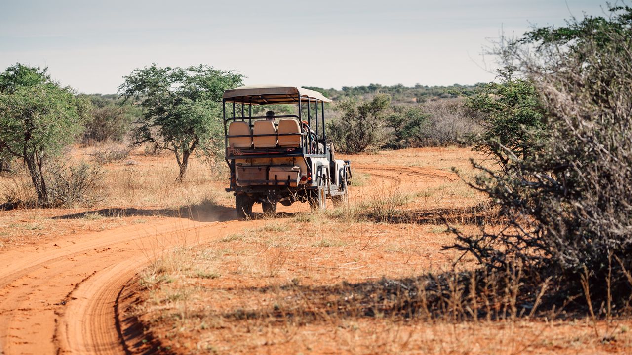 Tswalu Kalahari