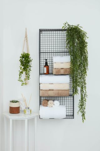 Folded neutral towels displayed on a black wire rack with glass bottle and hanging houseplants