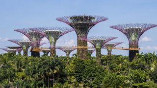 Gardens By The Bay In Singapore