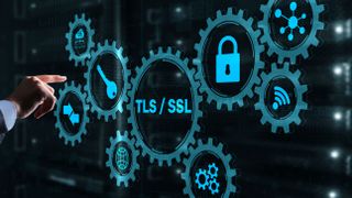 Transport Layer Security. Protocols provide secured communications. Secure Socket Layer. TLS SSL.