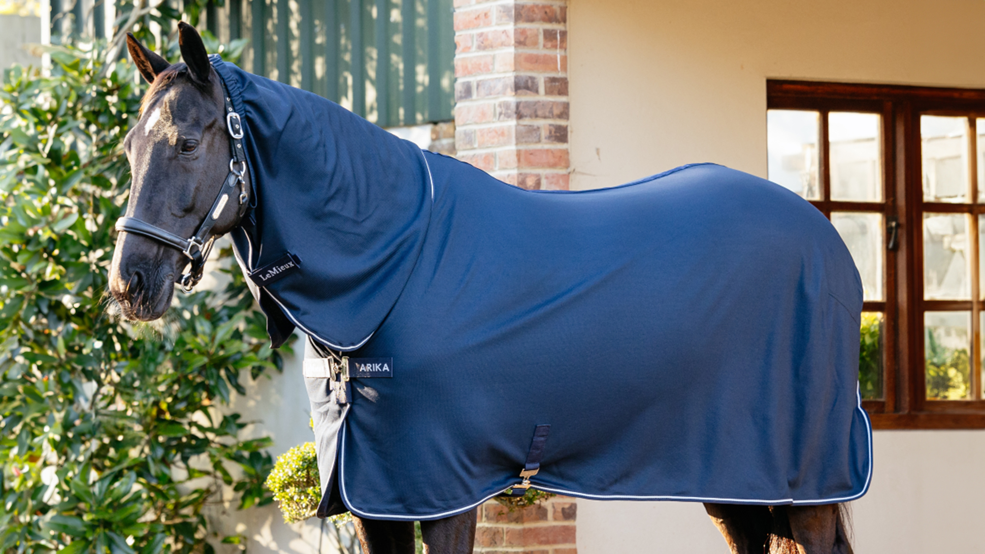 LeMieux Arika DryEase Rug