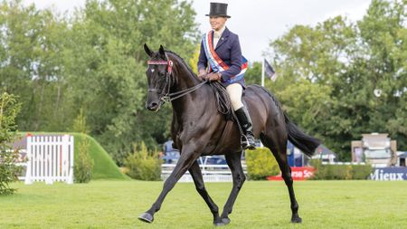 Boston Black Tie at Royal International Horse Show