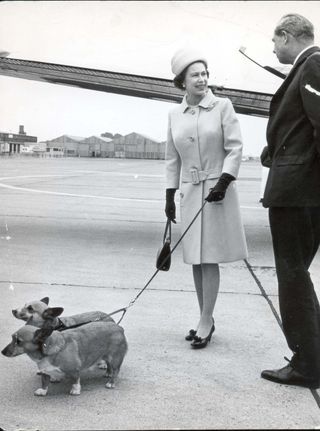 The Queen And Her Corgis