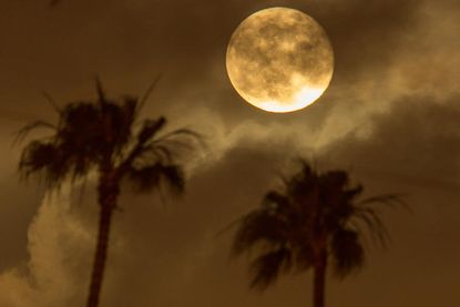Look up: Super moon and meteor shower both happening Sunday