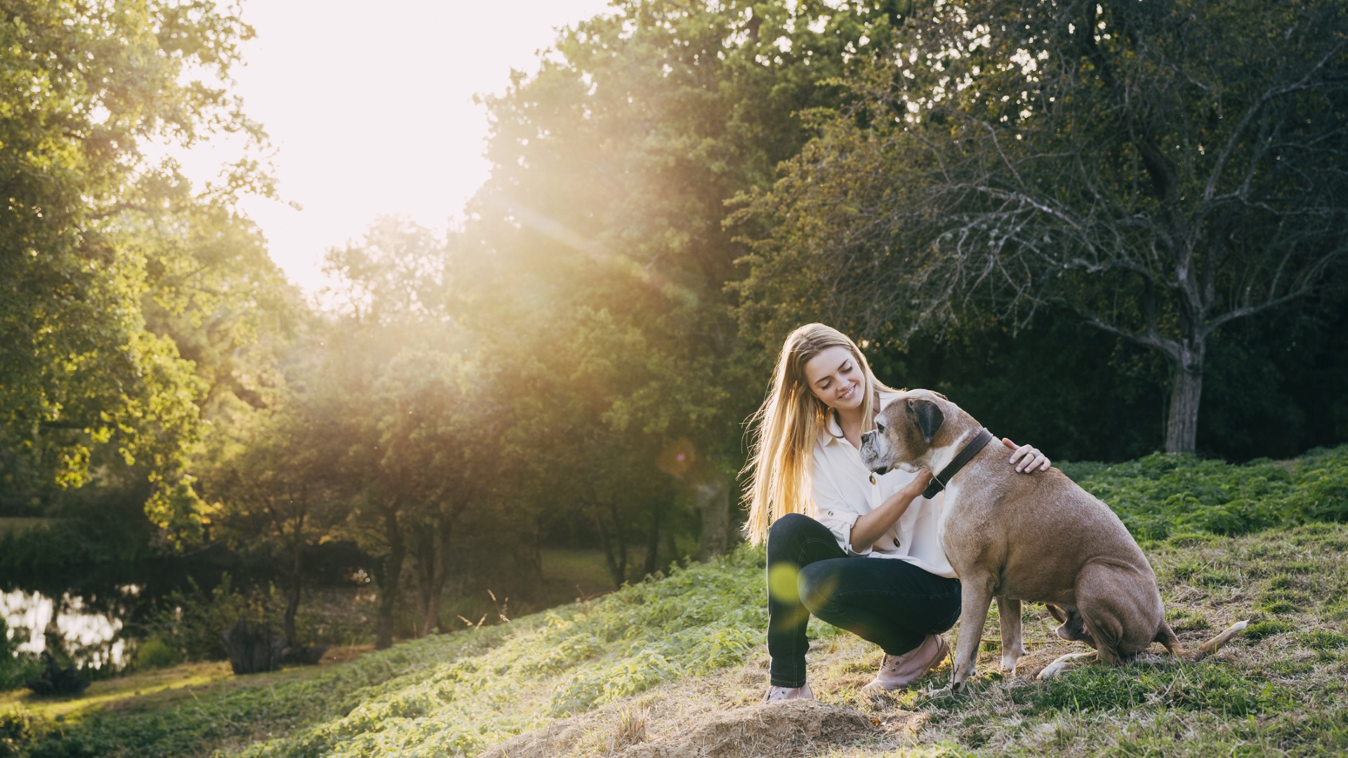 a woman smiles and kneels down as she pets her senior boxer in a park