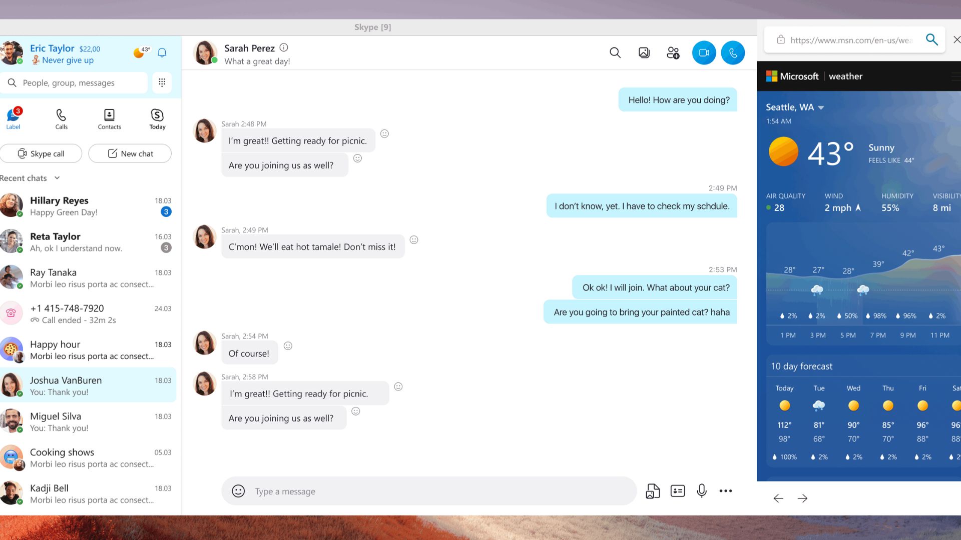 Skype-Benutzeroberfläche mit Details zur Wetter-App rechts