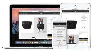 41. Apple Pay
