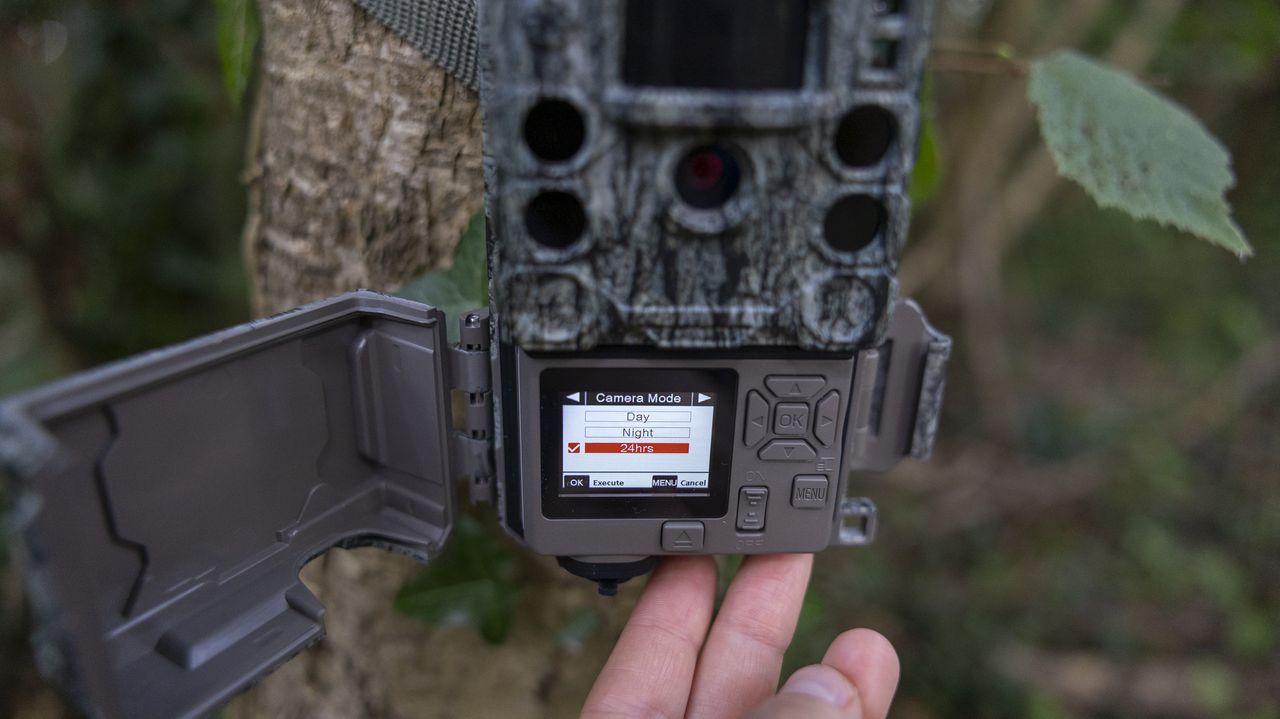 The Bushnell Core S-4K No Glow trail camera mounted on a woodland tree