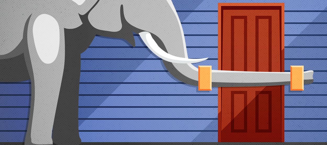 An elephant barring a door.