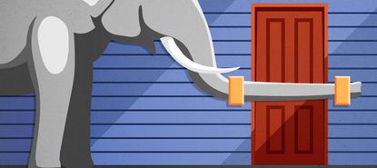An elephant barring a door.