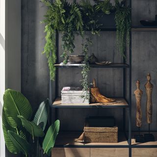 living room with metal and wood storage unit, books, ornaments and plants on it, wooden figures, plant on side