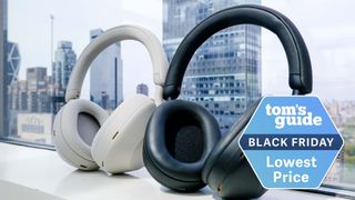 Sony XM5 headphones in black and white against office window