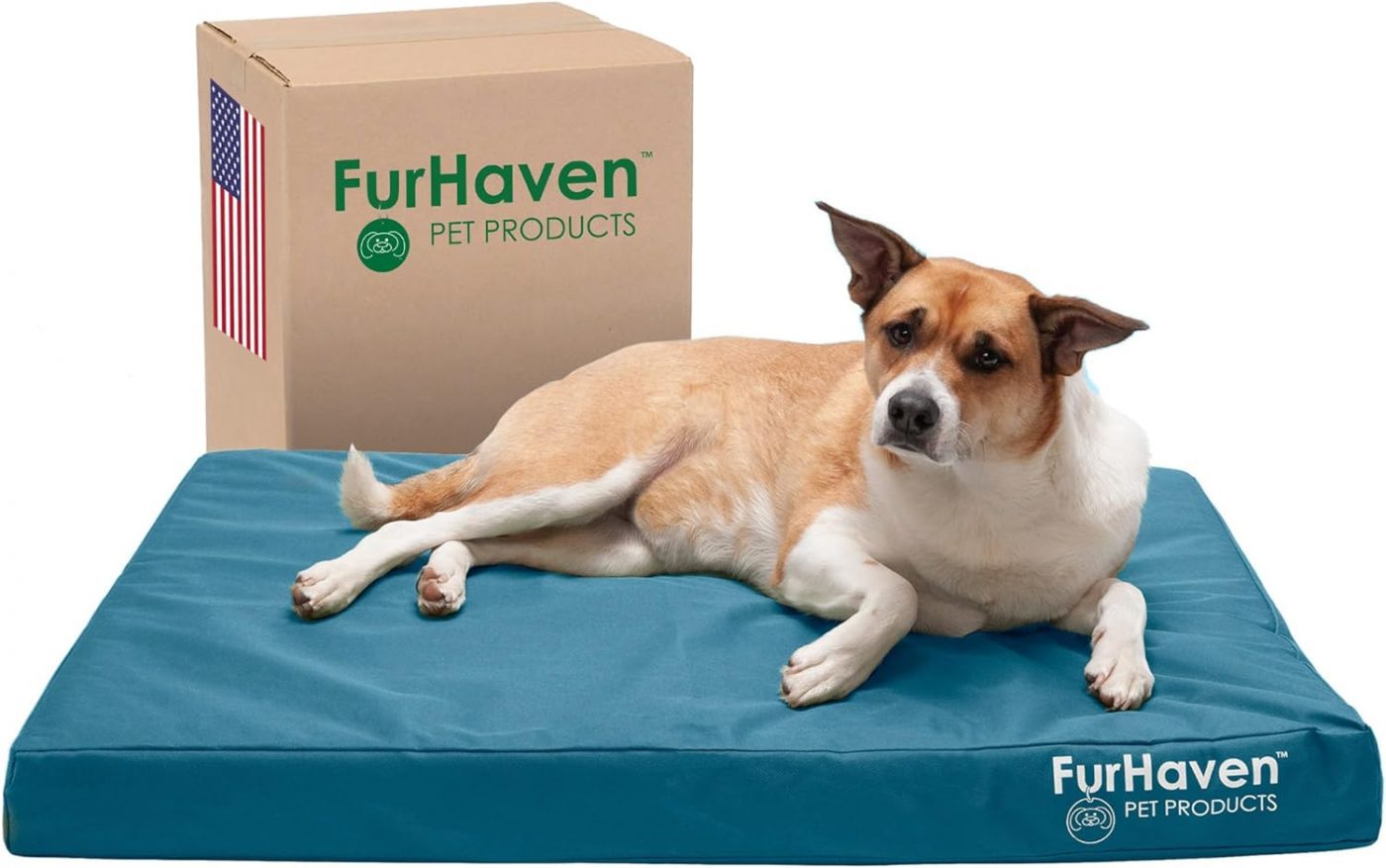 Furhaven-e1715961102880.jpg