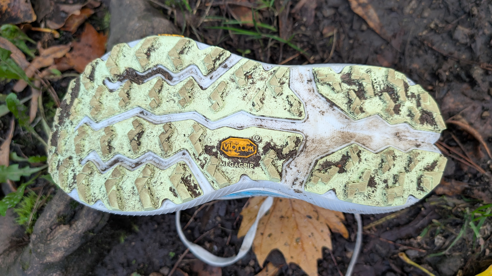 Brooks Cascadia 20 review