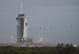 The SpaceX Falcon 9 rocket with the company’s Crew Dragon spacecraft atop is seen at its launch pad at Kennedy Space Center in Florida.