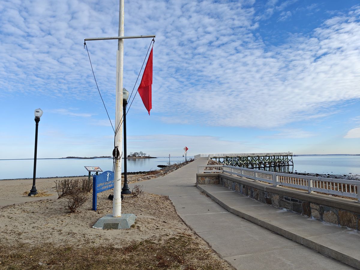 Sample photos taken with OnePlus 11