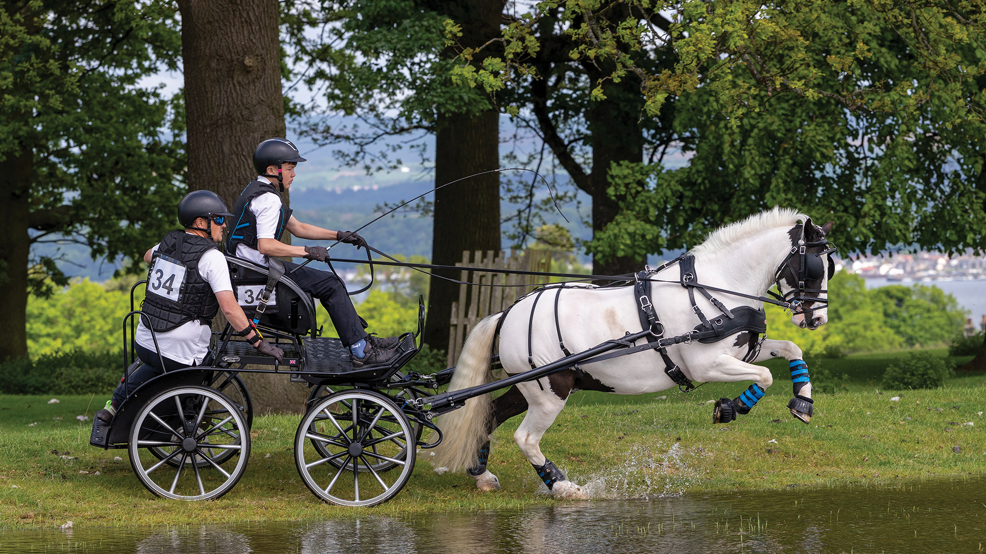 A coloured driving pony jumps into a water obstacle during a combined driving competition