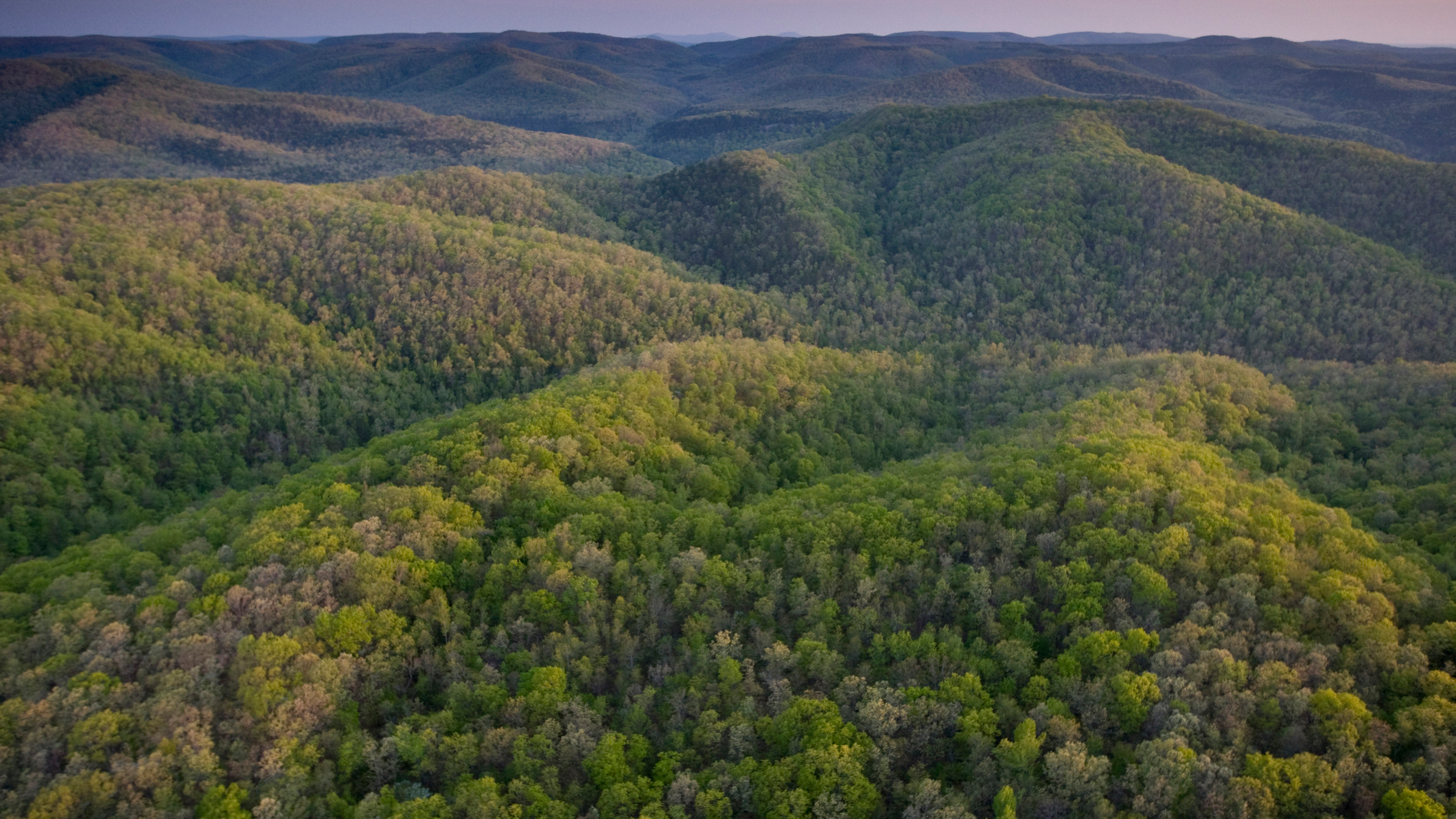 The Ozark mountains, in Arkansas