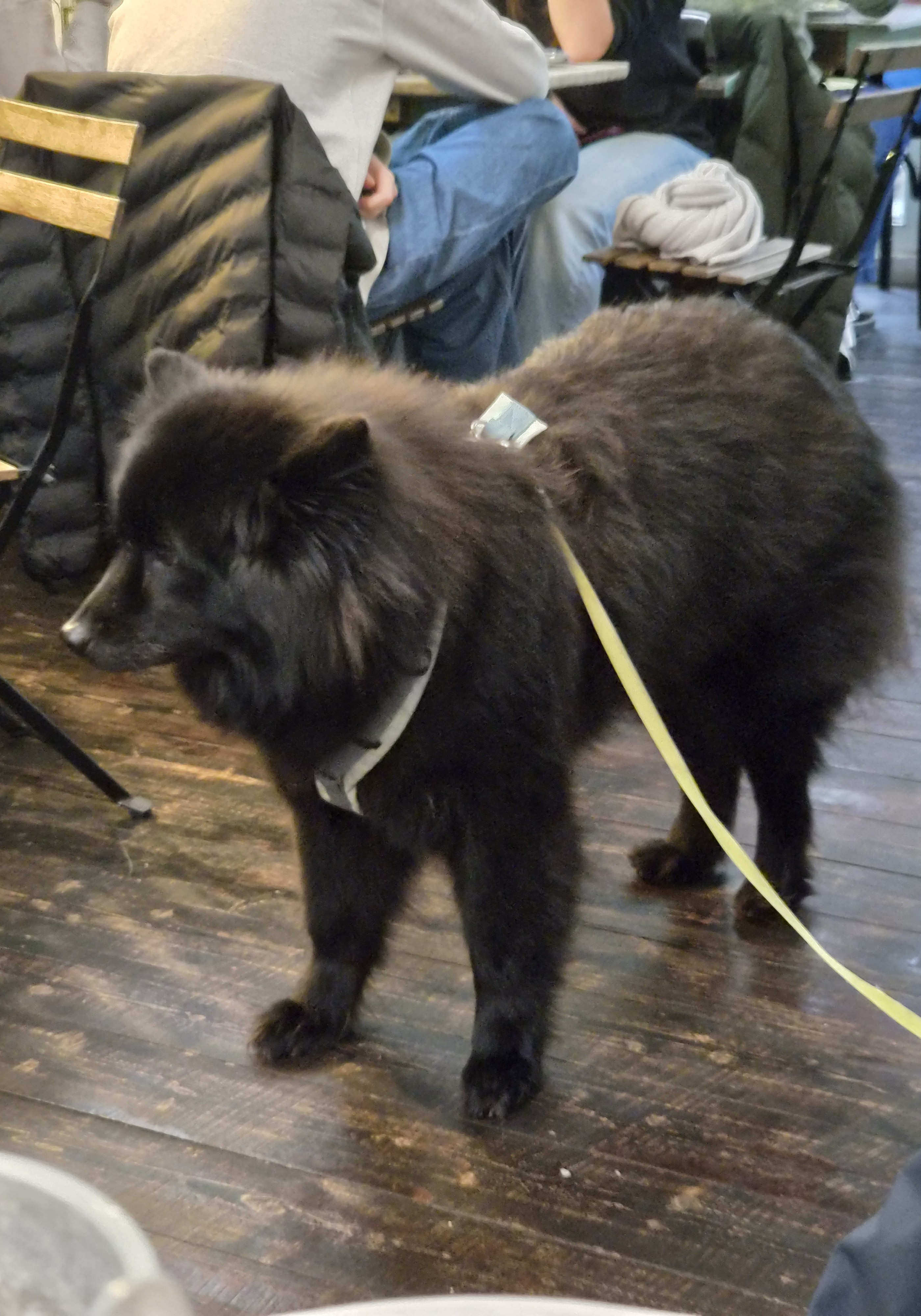 Galaxy S26 voorbeeldfoto