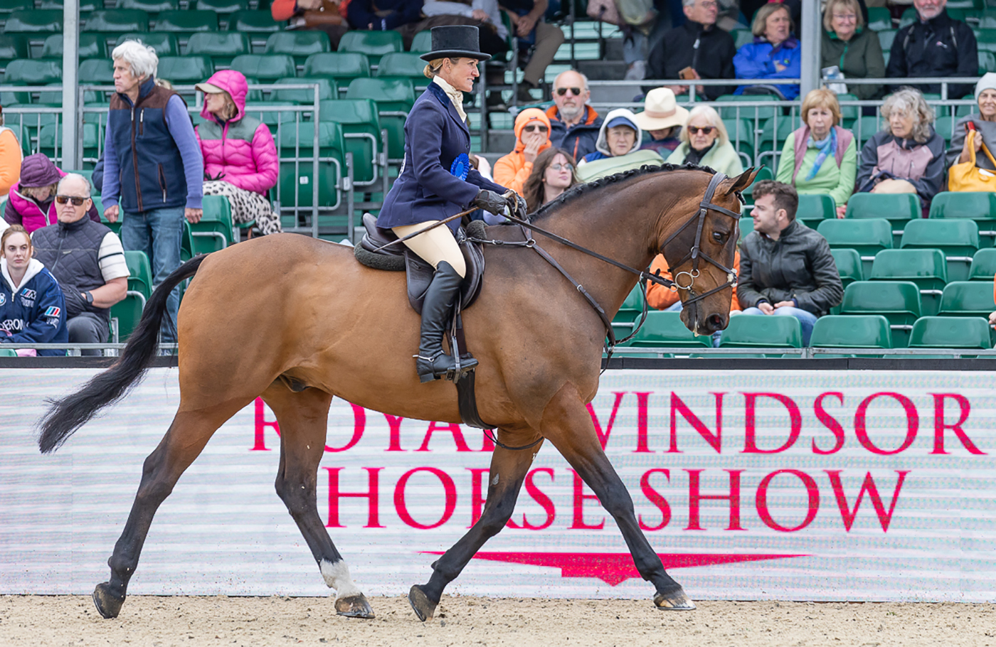 Rachel Turner took reserve in the working hunter on Ernie Big