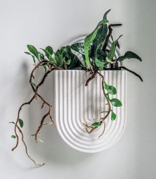 Wall planter by Hilton Carter for Target