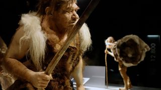 a reconstruction of a Neanderthal man wearing fur clothing