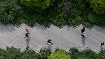 Aerial shot of the High Line, New York, with lush green planting and a central walkway