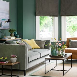 A green living room with green blinds and a green sofa