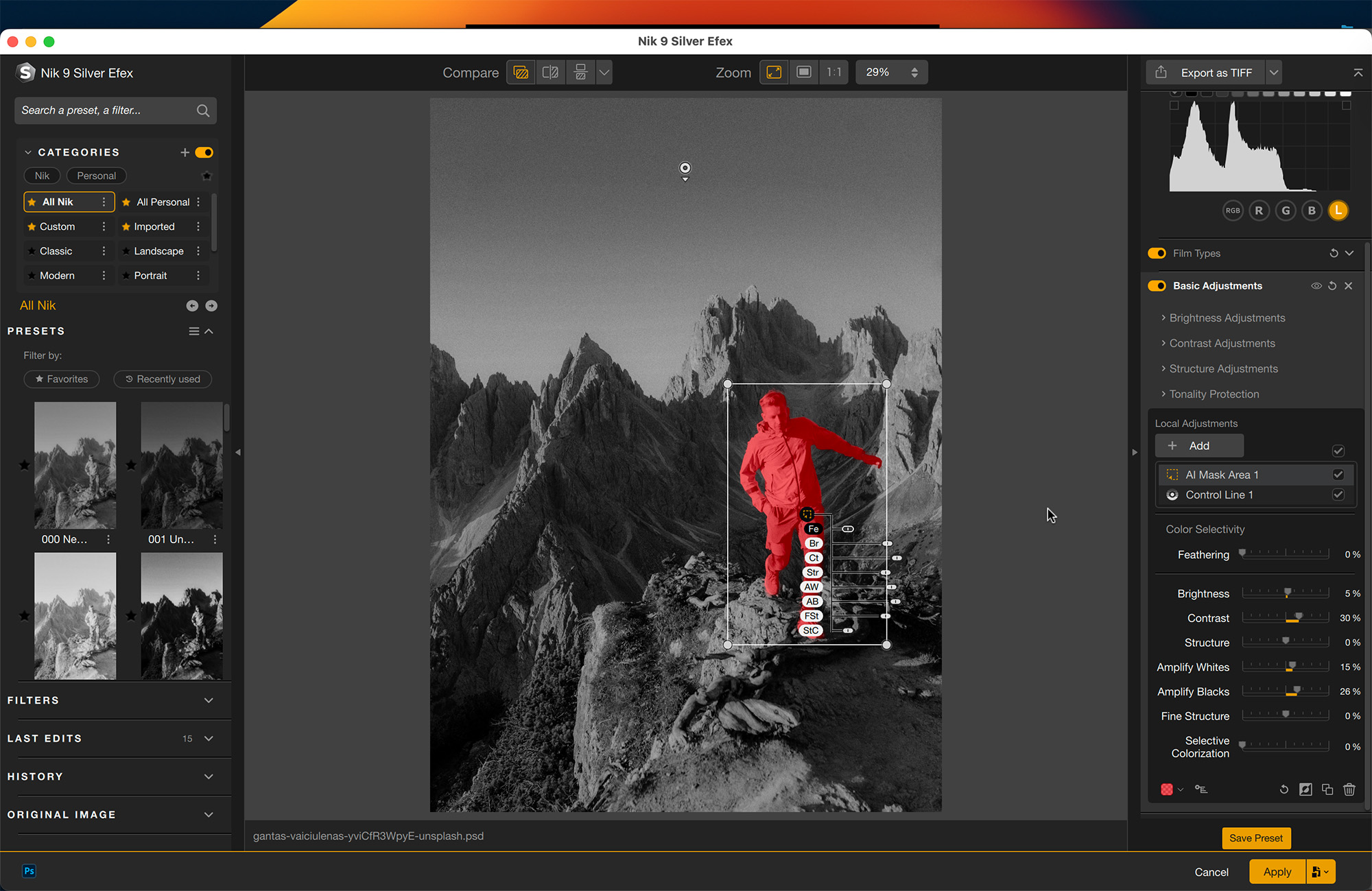 DxO Nik Collection 9 screenshot 