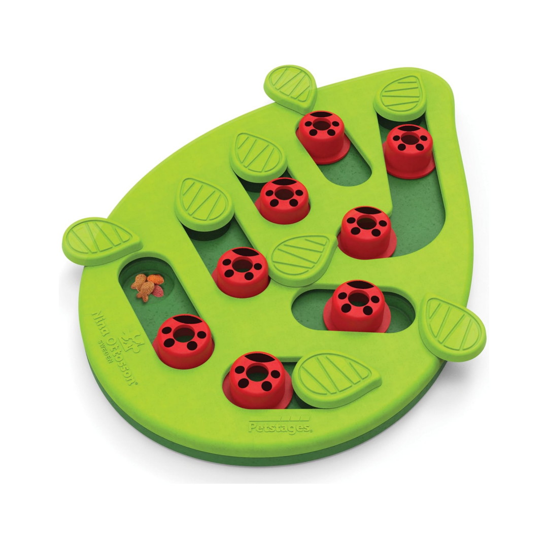 Catstages by Nina Ottosson Buggin' Out Puzzle &amp; Play - Interactive Cat Treat Puzzle, one of the best cat toys