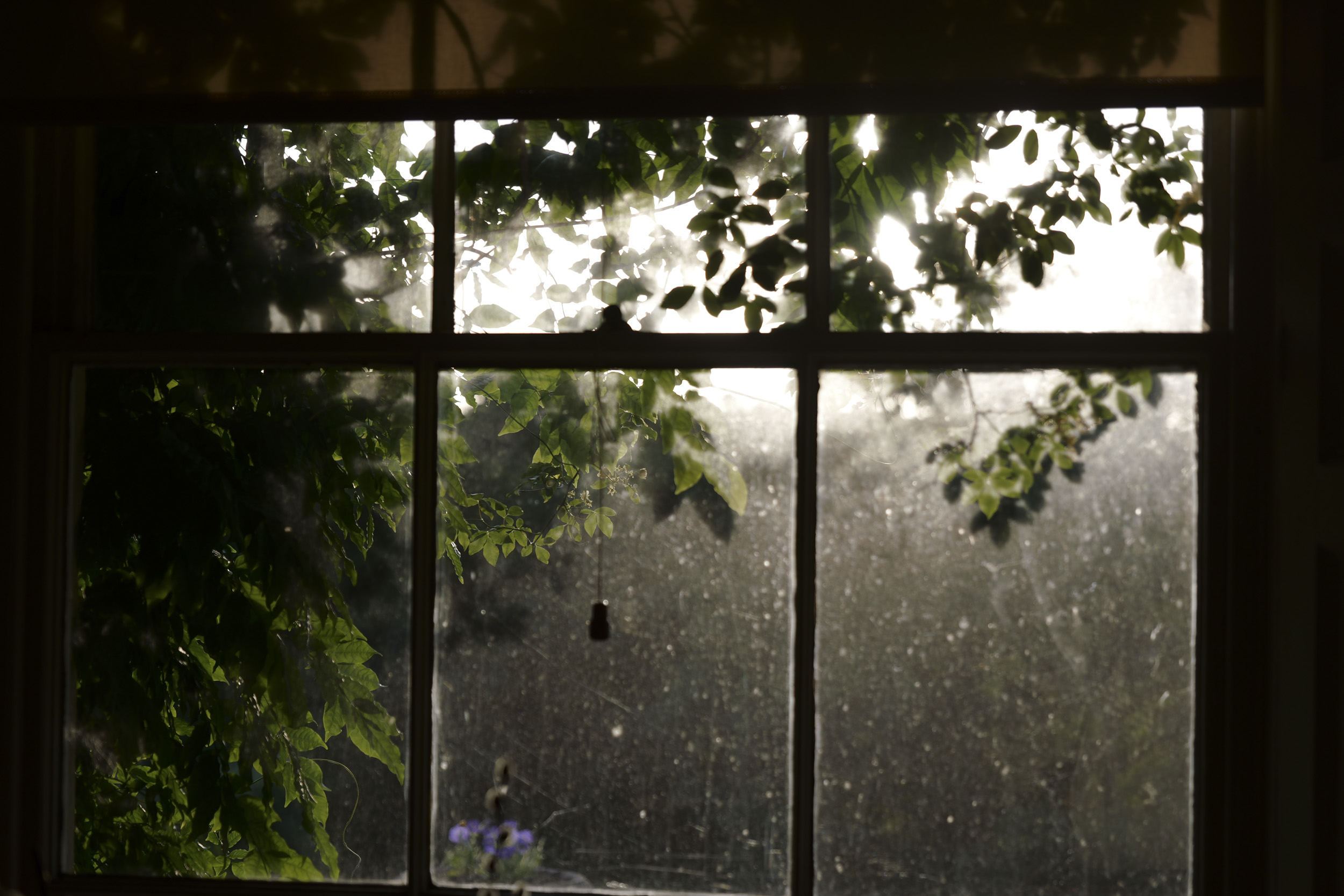 Panasonic Lumix S1 II sample gallery: backlit window