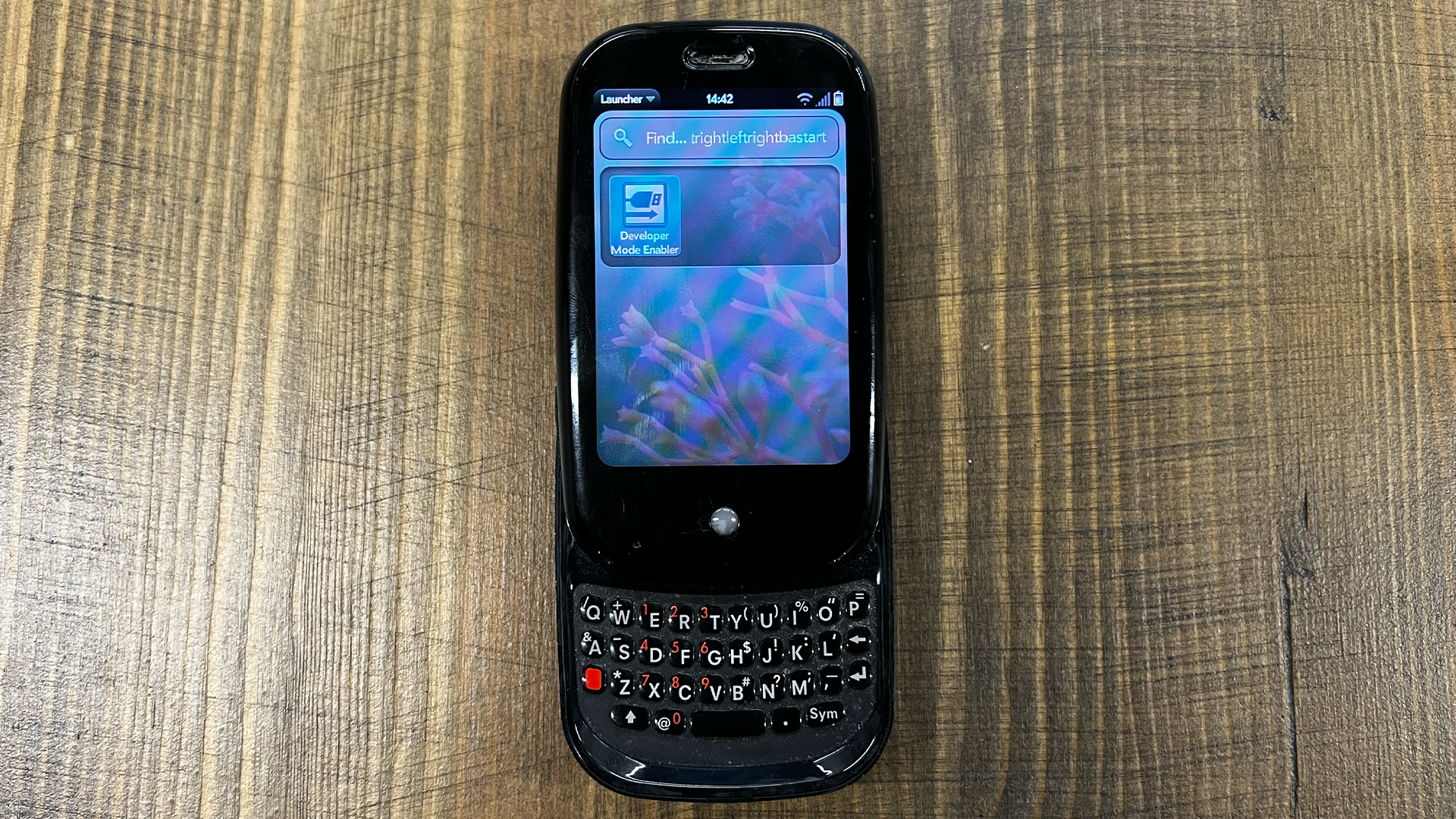 Palm Pra dalam mode pengembang