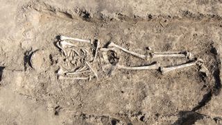 A skeleton in an excavated grave that wasn't part of the Live Science investigation.