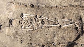 A skeleton in an excavated grave that wasn&#039;t part of the Live Science investigation.