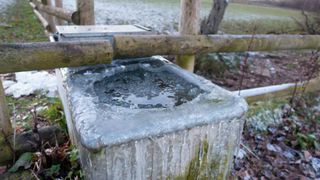 frozen trough