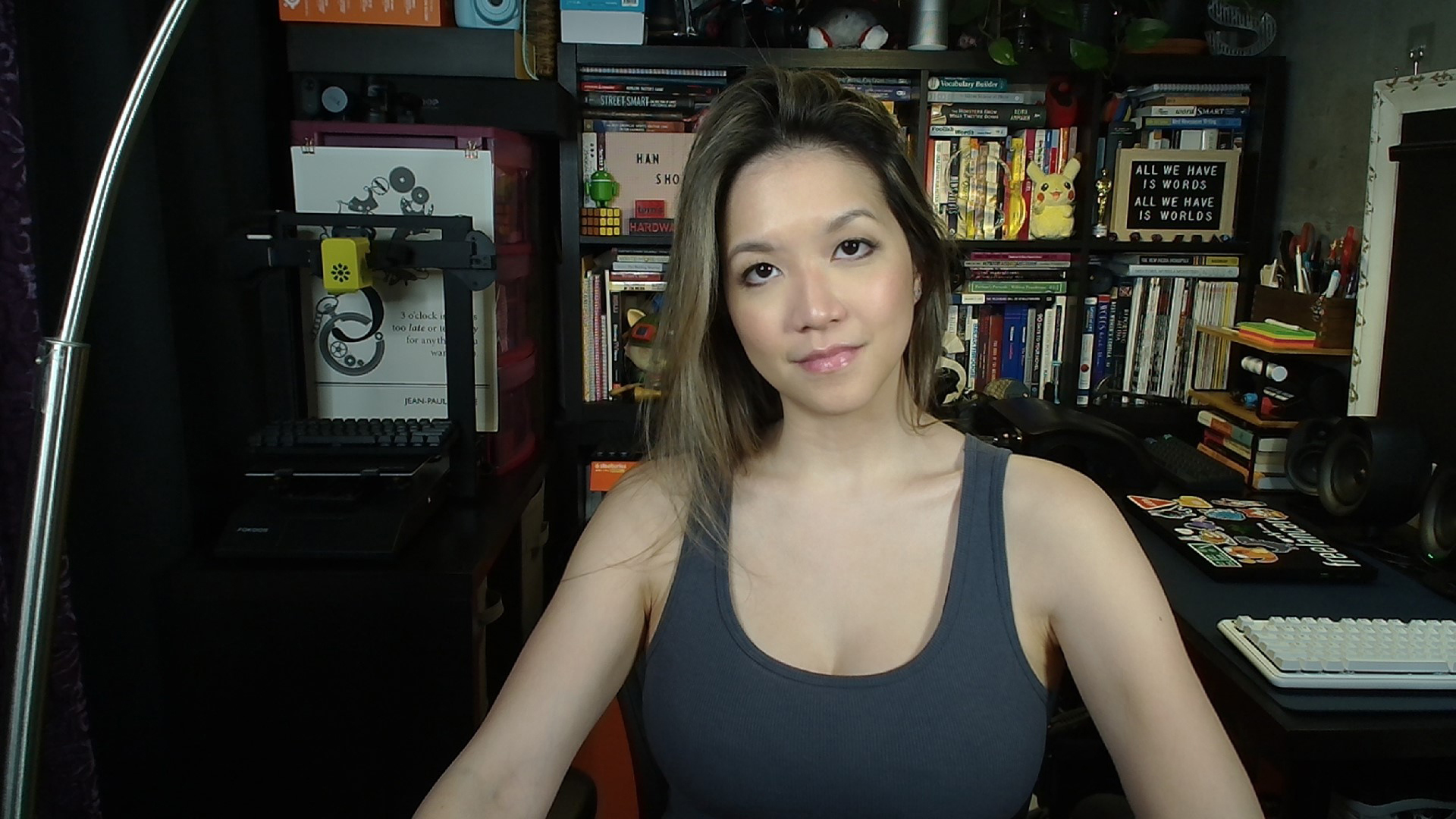 Well-lit Performance of the Facecam Neo