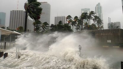 Hurricane-driven waves pound the coast.