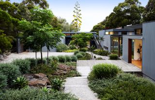 Green shrubs and trees dotted across a backyard, with mulch placed on the left side of the yard around the plants