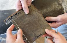 Researchers have developed a patent-pending technology for incorporating food waste into rubber as a sustainable alternative to petroleum-based materials used conventionally.