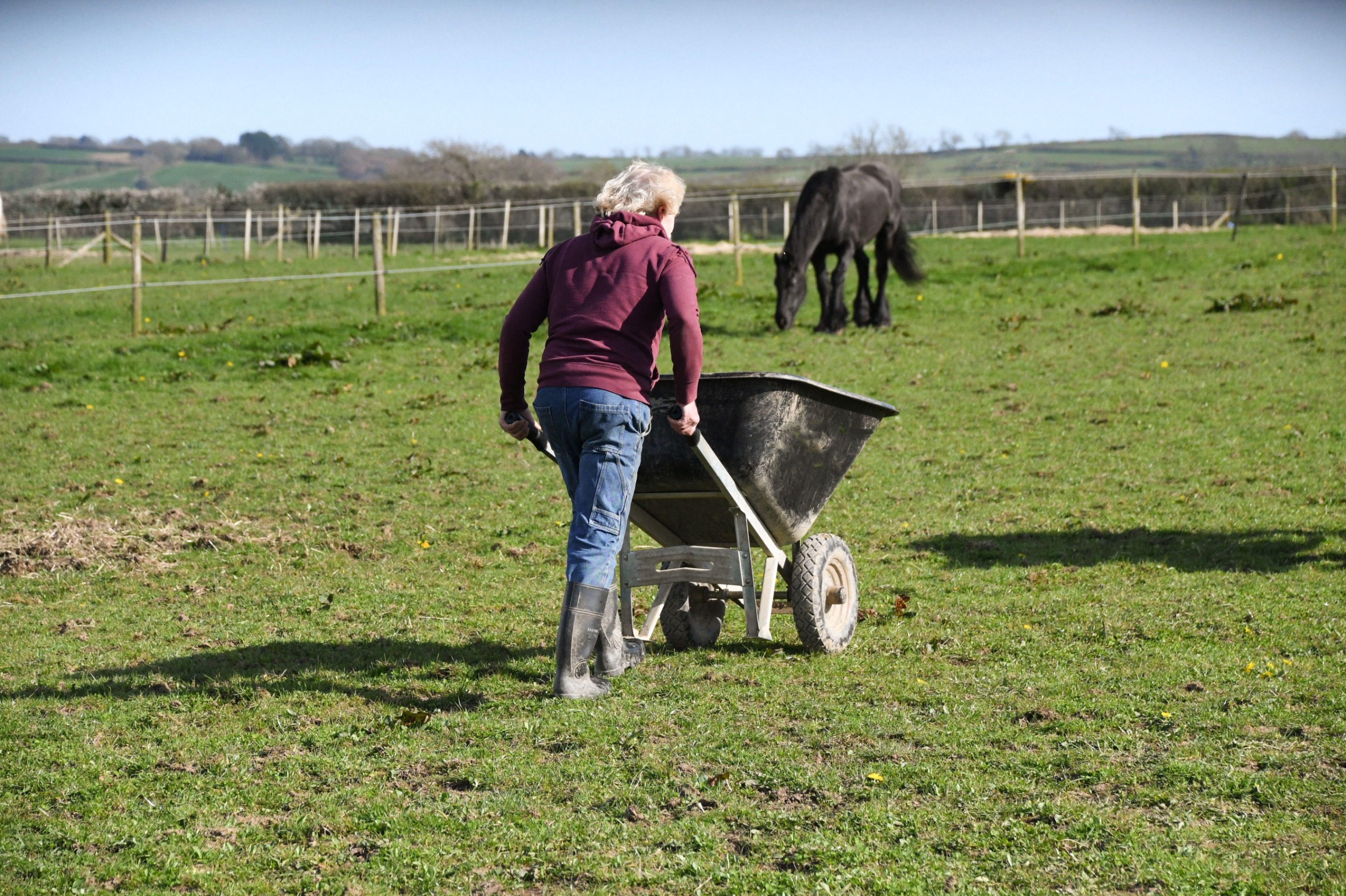 Woman walking away from the camera pushing a wheelbarrow towards a horse in a field