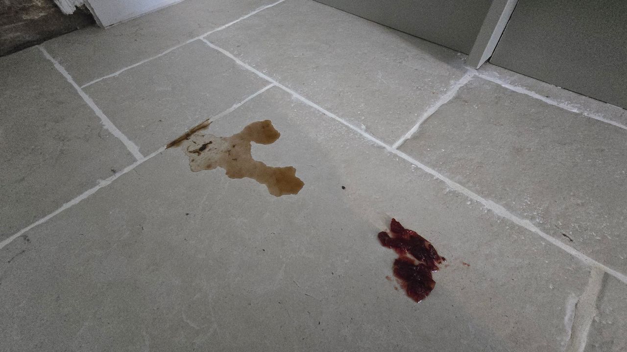 Cranberry sauce and coffee spill on a tiled kitchen floor