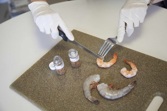 A recent Oceana report that focused on shrimp found that tested shrimp samples were misrepresented at point-of-sale 30 percent of the time. The report took samples from the Gulf of Mexico region, Washington, D.C., Portland, Oregon, and New York City. Farmed whiteleg shrimp, a species that mostly comes from aquaculture farms in Southeast Asia, was the most commonly swapped-in species, and was found to be mislabeled as "wild-caught" shrimp.