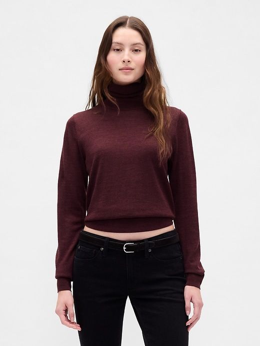 Merino Turtleneck Sweater