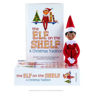 Boy Elf on the Shelf with his storybook