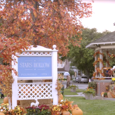 Gazebo, Park, Garden, Flowerpot, Street light, Shade, Pavilion, Light fixture, Deciduous, Ceremony, 