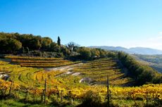 Amarone 2016 A first look