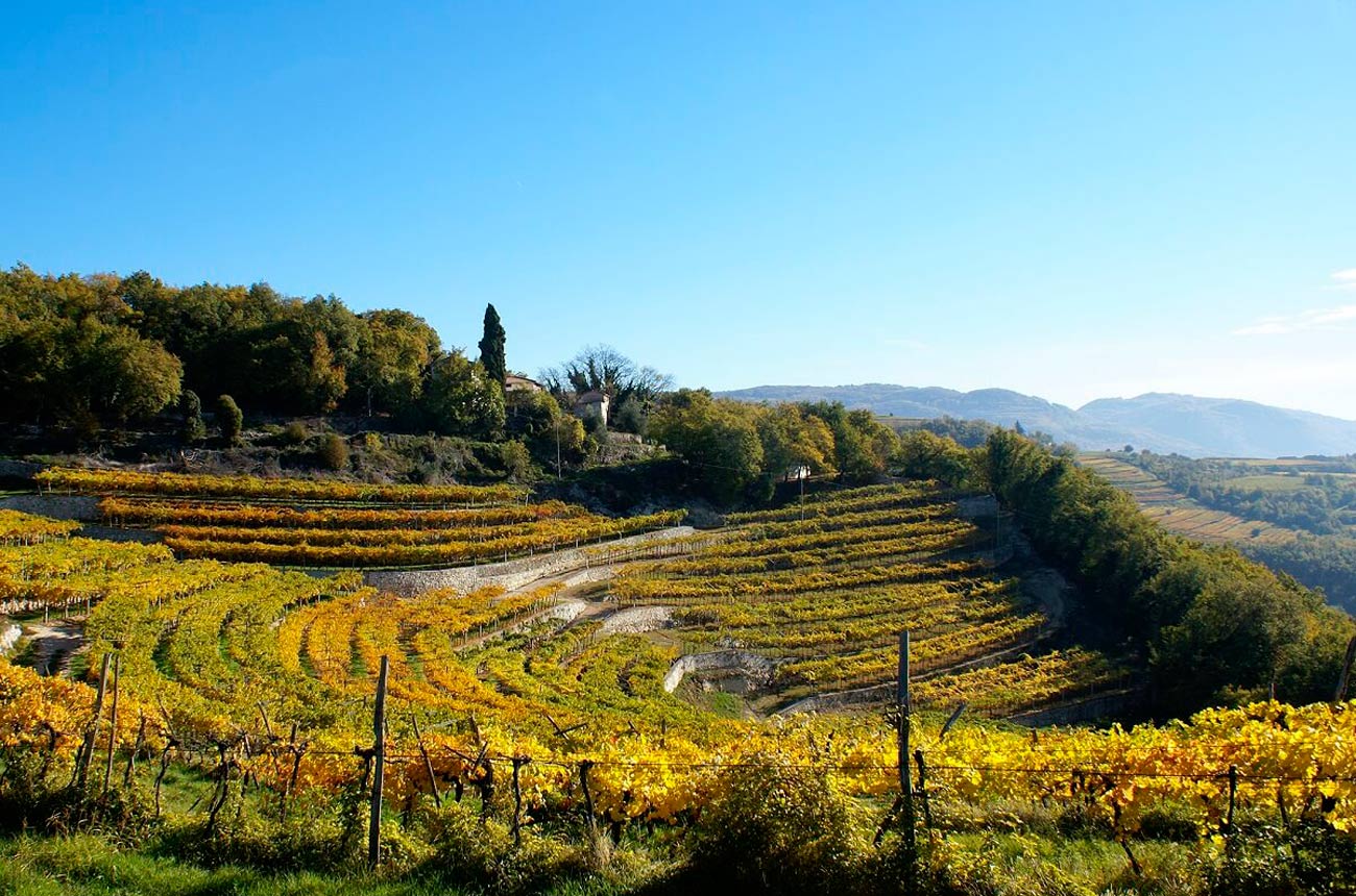 Amarone 2016 A first look