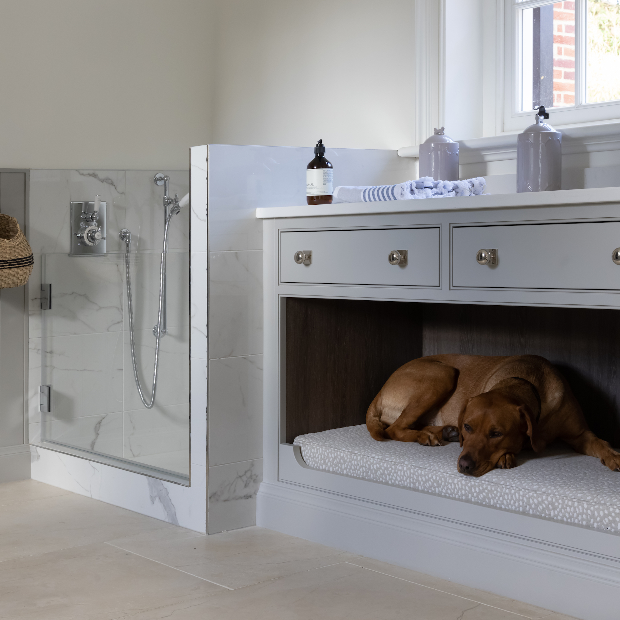 dog shower with dog bed and fox red labrador in it