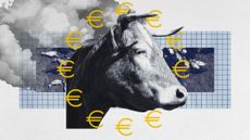 Photo collage of a cow surrounded by Euro symbols, arranged like the stars of the EU flag. In the background, there is an aerial photo of a herd of cows, and fumes, as if emitted from the cows.